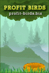 ProfitBirds